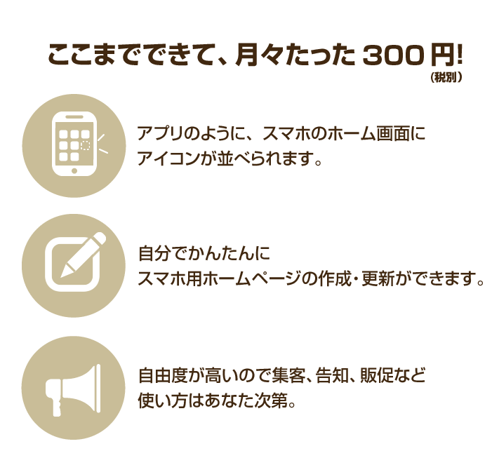 ここまでできて、月々たった300円