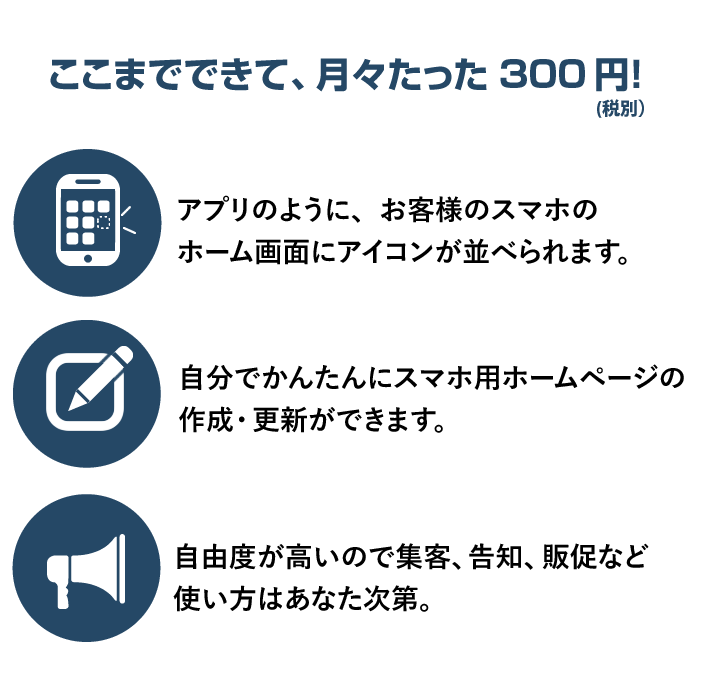 ここまで出来て月々たったの300円（税別）